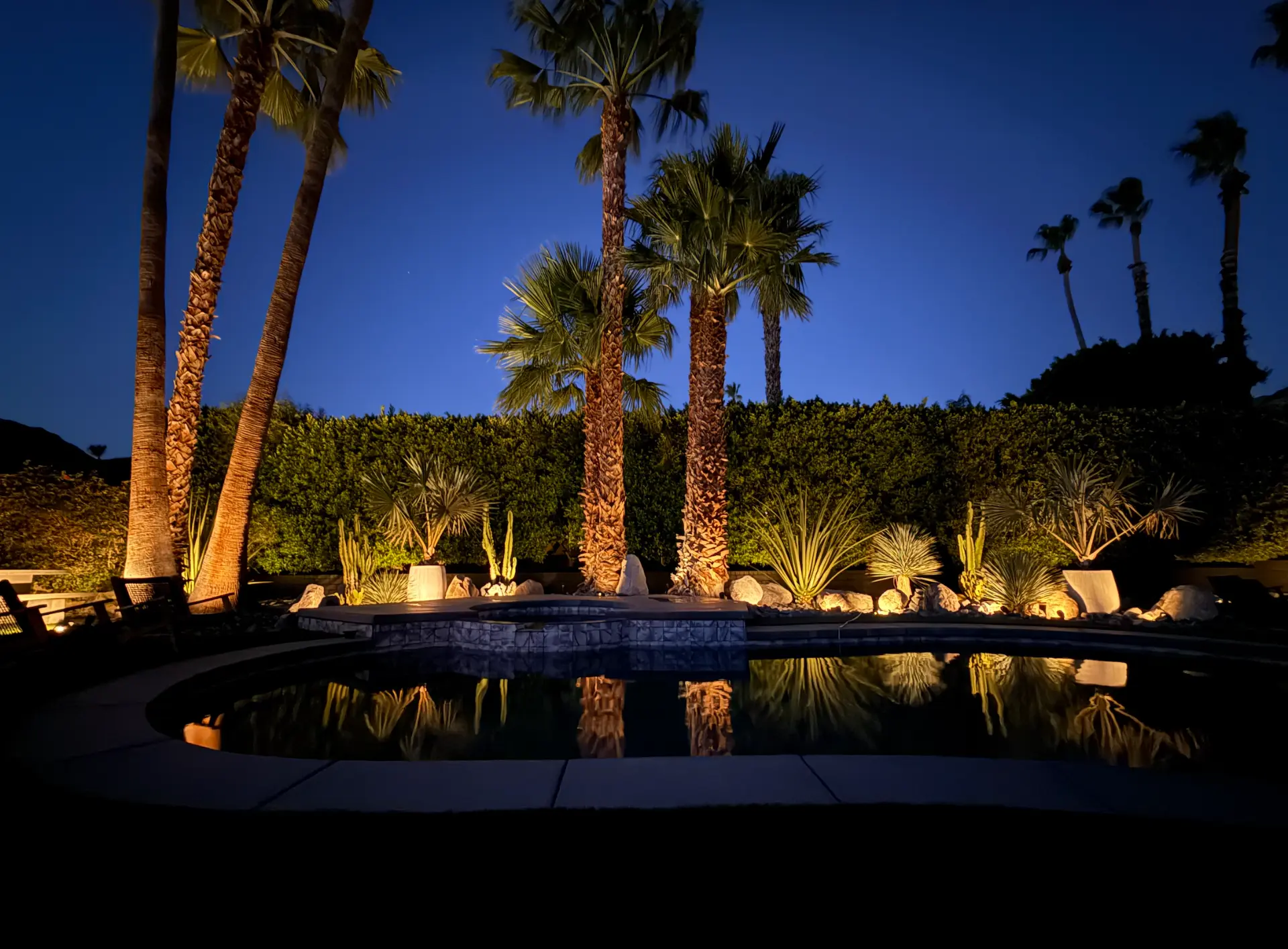 Landscape Design — Casa Noir Construction project